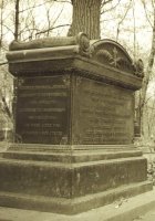 birdy's view of St. Petersburg