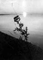 ������� ������� MOON FAR AWAY