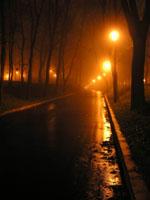 ������ ����